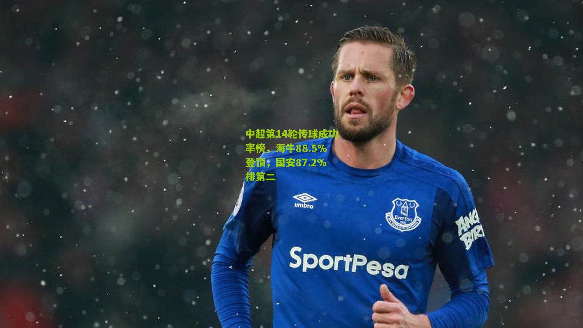 中超第14轮传球成功率榜，海牛88.5%登顶，国安87.2%排第二